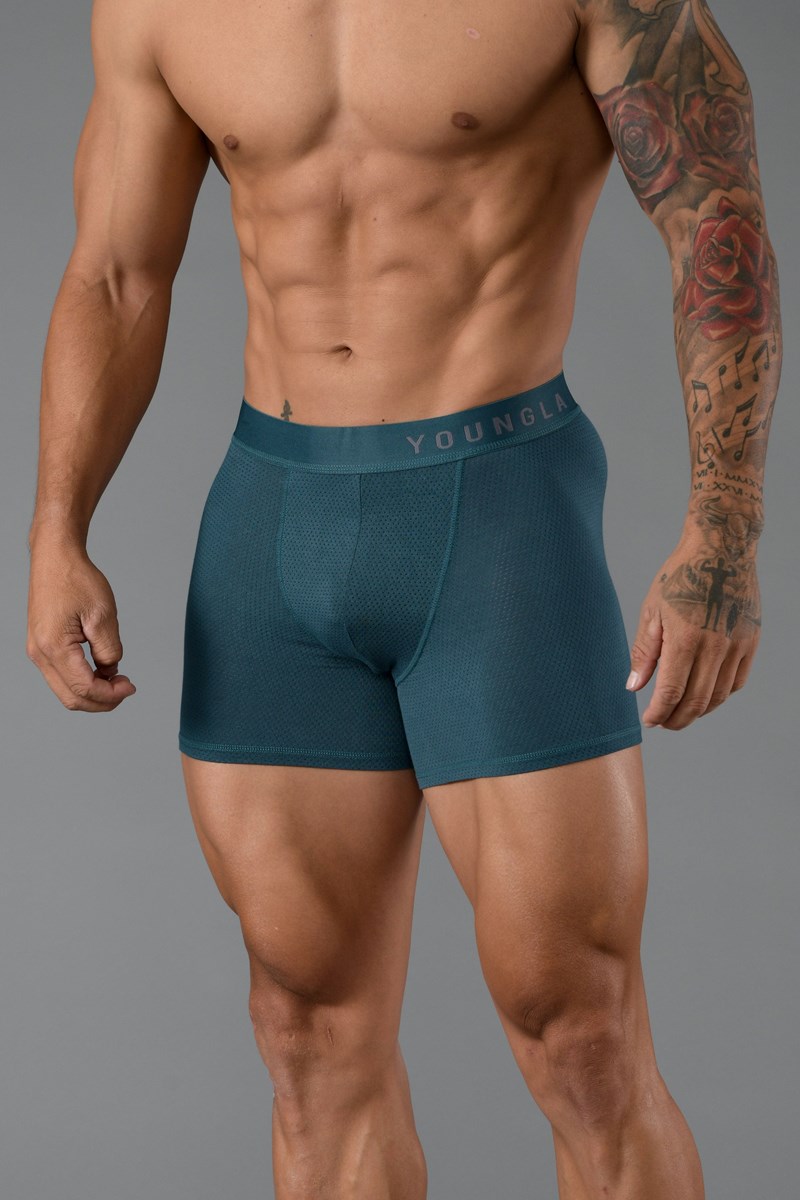 YoungLA 703 Goat Briefs 3 Pack Kolorowe | 254-NODSTL